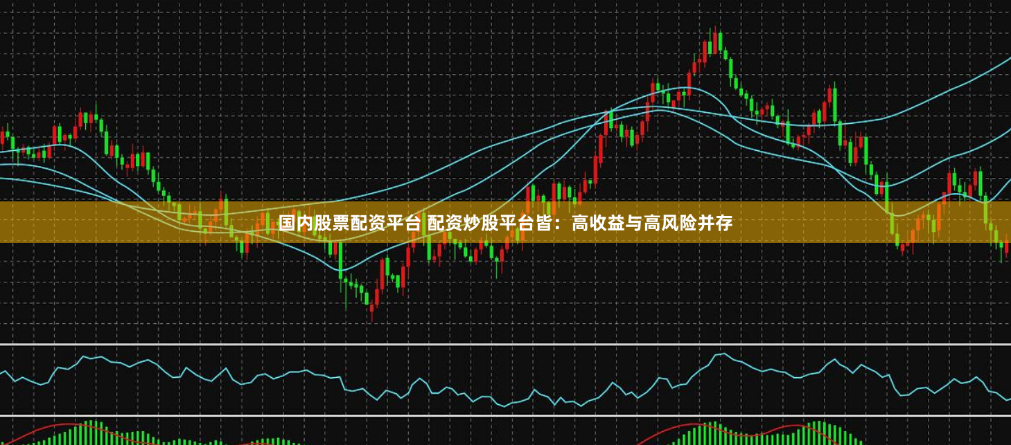 国内股票配资平台 配资炒股平台皆：高收益与高风险并存