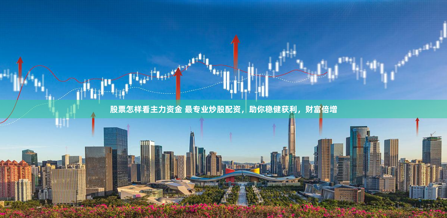 股票怎样看主力资金 最专业炒股配资，助你稳健获利，财富倍增